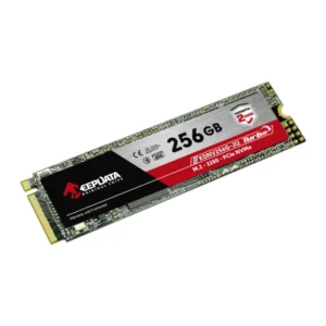 SSD 256GB Keepdata M.2 2280 PCIe Gen 3.0 x 4 NVMe – KDNV256G-J12